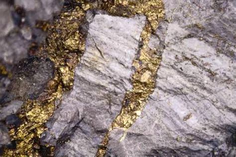 Lode, Placer, and Alluvial, oh my! Which type of gold should I mine?