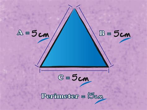 3 Ways to Find the Perimeter of a Triangle - wikiHow