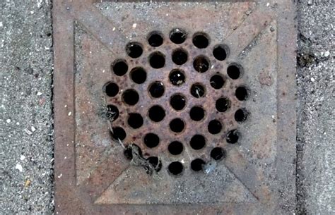 7 What To Do When Your Outdoor Drain Is Clogged - 2024 Guide - The Frisky