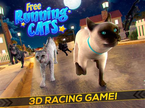 Running Cats - Survive The Free Kitty Cat Simulator - Online Game Hack ...