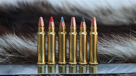 17 HMR [Guide]: Best Ammo Guns Pew Pew Tactical, 45% OFF