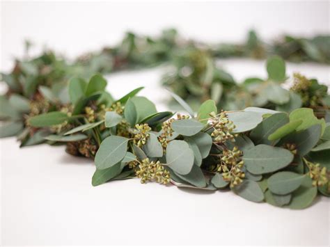 Seeded Eucalyptus Garland – Hello Eucalyptus