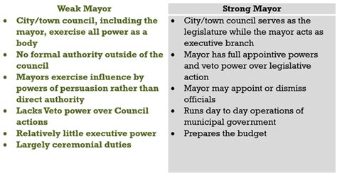 Role of the Mayor - Local Government in Virginia