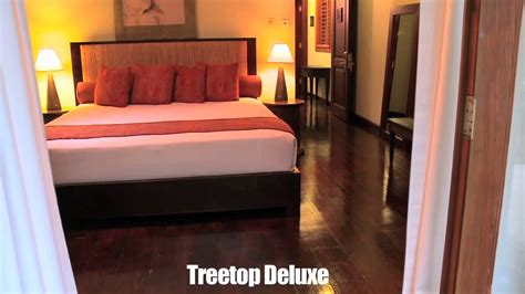 SUNSET AT THE PALMS BookIt.com Guest Reviews Treetop Deluxe - All ...