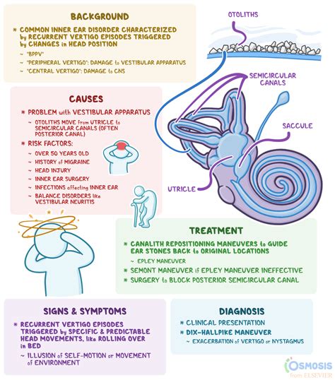 Can Fluid In Middle Ear Cause Vertigo at Virginia Feldman blog