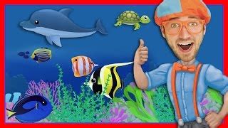 Learn Zoo Animals for Kids with Blippi | A Day at the Zoo - Videos For Kids