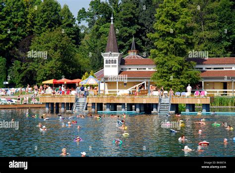 Hot springs, thermal spa in Hévíz, Lake Balaton, Balaton, Hungary ...