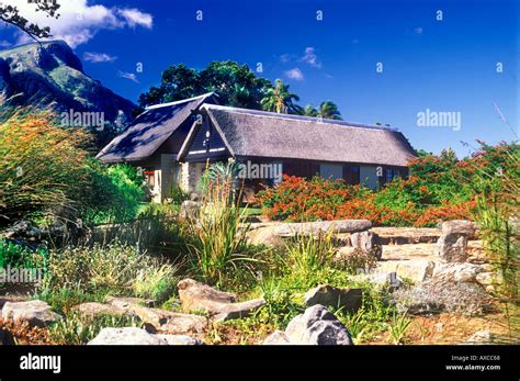 kirstenbosch botanical gardens restaurant cape town south africa Stock ...