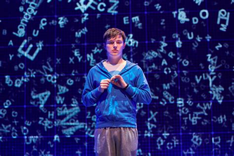 Theatre review – The Curious Incident of the Dog in the Night-time ...