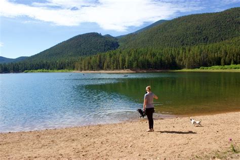 Camping at Wellington Lake: A Guide – GoMorsel