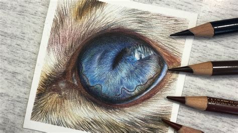 Realistic Drawing Of A Cat Eye