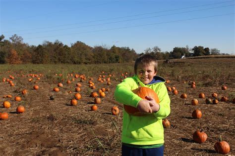 Fall Pumpkin Patch Fun - Hobbies on a Budget