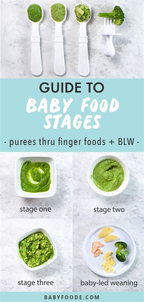 Guide to Baby Food Stages (Purees and BLW) - Baby Foode | Baby food ...