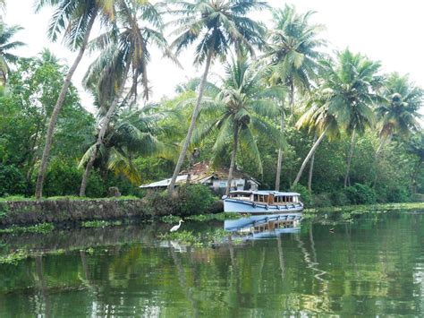 Around The World: Coconut Country Kerala