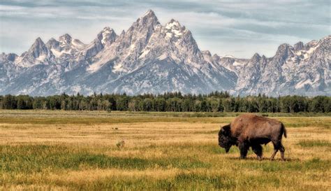 RV Destination: Grand Teton National Park