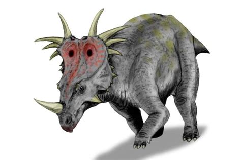 Styracosaurus | Herbivore | Ceratopsian