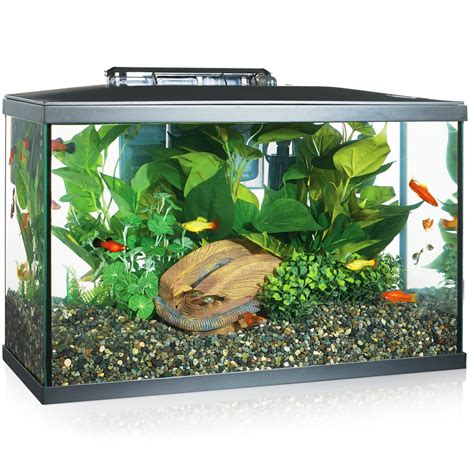 Tetra Open Glass 10 Gallon Rectangular Fish Aquarium Tank | ydy.akdeniz ...