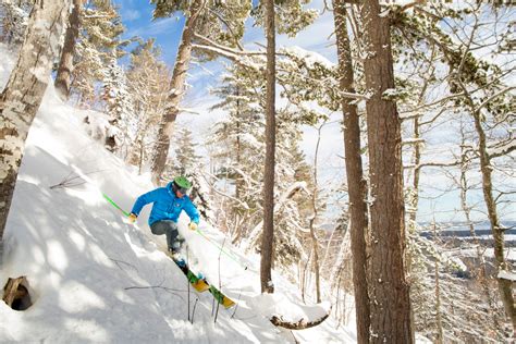 Guide: How to Start Tree Skiing – Shaggy's Copper Country Skis