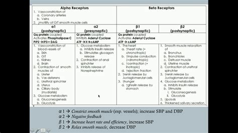 Adrenergic Agonists (Part One) - CRASH! Medical Review Series - YouTube