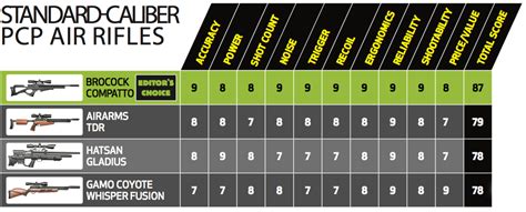 Air Gun Test: 13 Standard Caliber, Big-Bore, and Spring-Piston Rifles ...