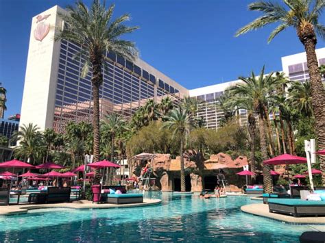 Flamingo Pool: Go Pool & Beach Club One of the Best Pools in Las Vegas