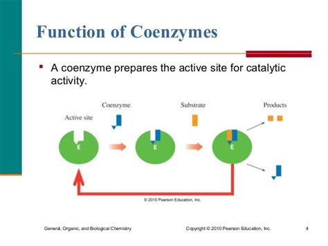 enzyme cofactors_and_vitamins