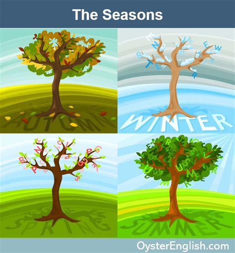 Four Seasons Weather, 57% OFF | www.micoope.com.gt