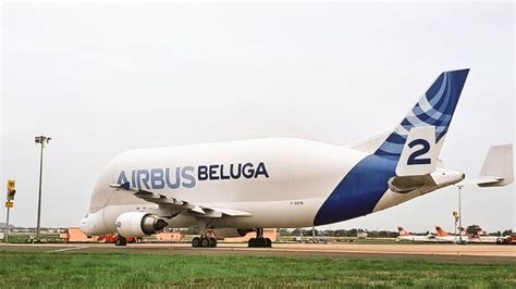 Beluga Whale Aircraft - Yak Aircraft