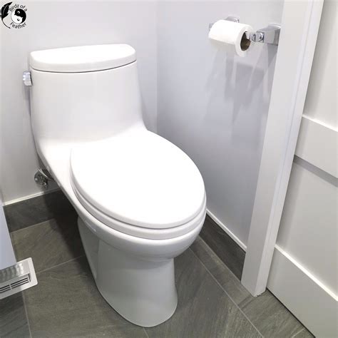 One-Piece Toilet Install: New Accessible Bathroom | Birdz of a Feather