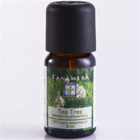 Tanamera Pure Essential Oil 10ml - Aromatherapy - Ginger/Ylang Ylang ...