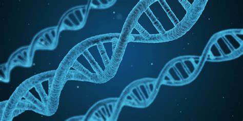 Epigenetic alterations as a cause of aging - Work for human longevity