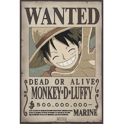 Pack 9 Posters Wanted : Équipage de Luffy - One Piece: Portfolios et ...