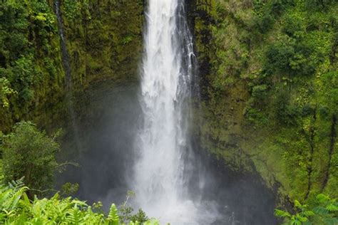 Top Hiking & Trails in North Hamakua Region | Big Island Hawaii