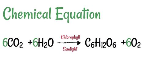 Equation For Photosynthesis