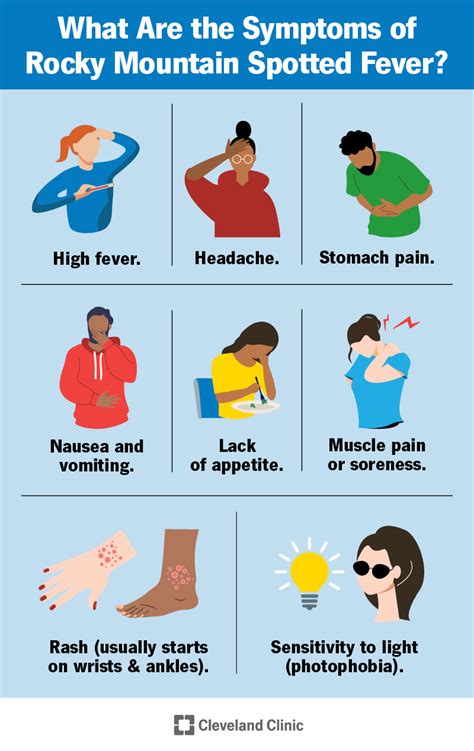 Rocky Mountain Spotted Fever: Causes, Symptoms & Treatment