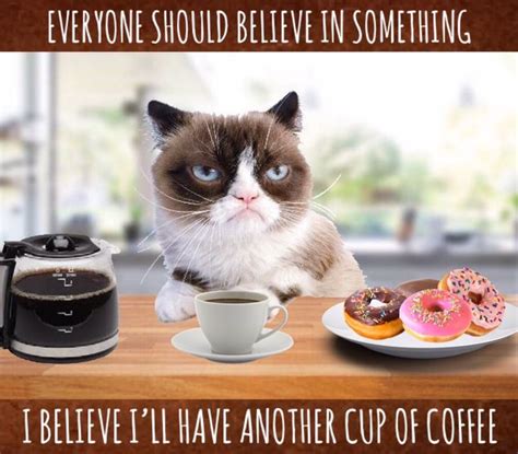 Grumpy Cat Morning ☕️ | Funny grumpy cat memes, Grumpy cat, Morning cat