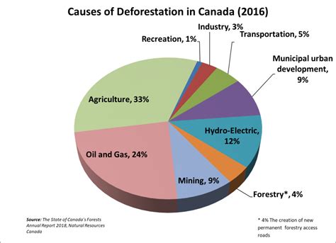 Setting the record straight on deforestation in Canada - PPEC