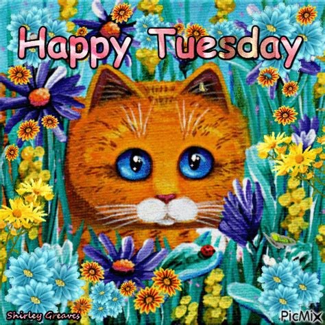 Kitty Happy Tuesday Gif tuesday tuesday quotes happy tuesday tuesday ...