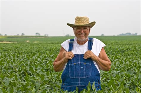 New bill would allow farmers to sue Monsanto if GMO crops invade their ...