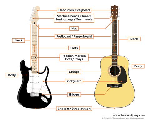 Parts of a Guitar Including String Labels, Fret Numbering & More!