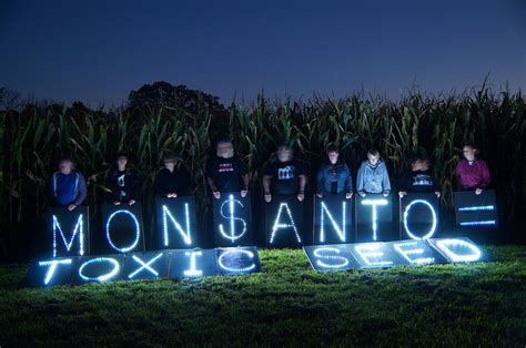 Monsanto GMO Seeds Dominate Market - Cornucopia Institute