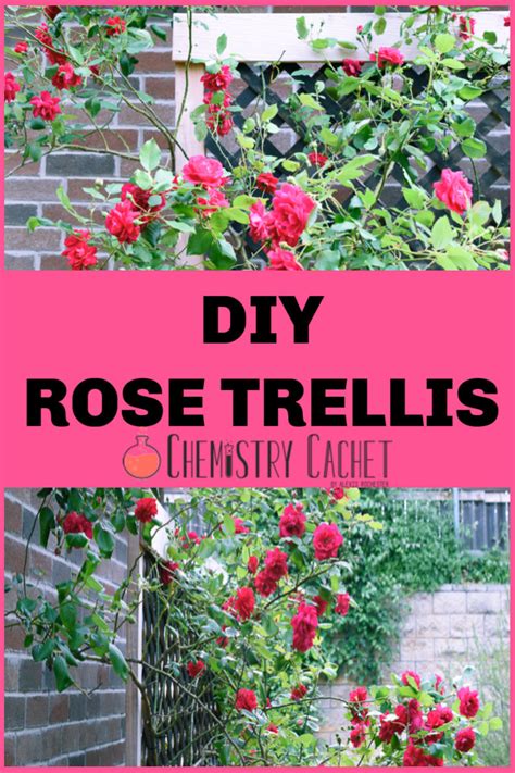 Easy DIY Rose Trellis (Only A Few Supplies Needed)!!