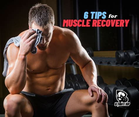 6 TIPS FOR MUSCLE RECOVERY AFTER WORKOUT