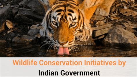 Wildlife Conservation Initiatives by Indian Government