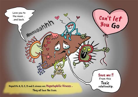 Hepatitis B: transmission and Clinical presentation - Creative Med Doses