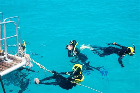 Snorkeling on the Great Barrier Reef - Global Goose Travel Blog