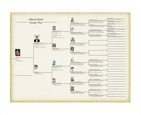 Family Tree Book Template - 9+ Free Word, Excel, PDF Format Download ...