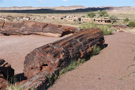 Les Voyages de Durandale: PETRIFIED FOREST, PAINTED DESERT, New Mexico