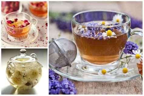 Flower Teas and Their Medicinal Properties