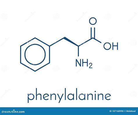 Phenylalanine L-phenylalanine, Phe, F Amino Acid Molecule. Skeletal ...